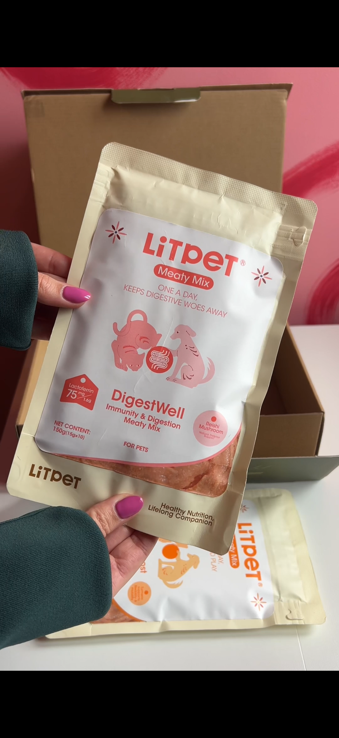 How to Keep Your Dog Cool and Healthy This Summer - The LitPet Guide