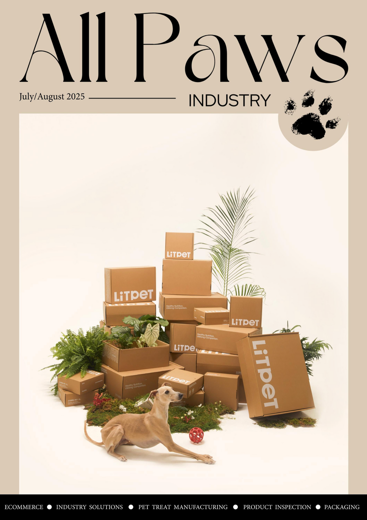 All Paws  — July/August 2025