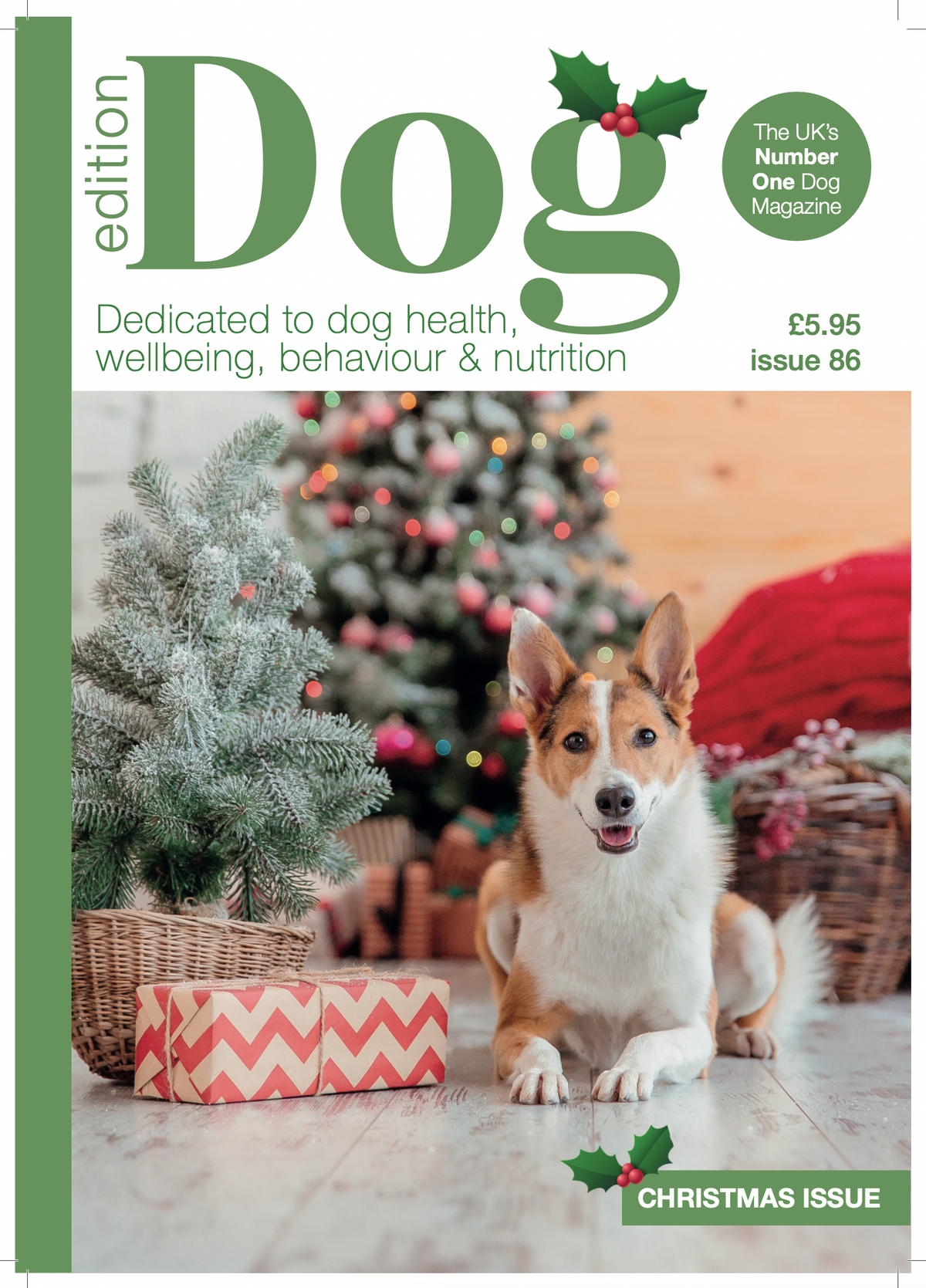 Edition Dog  —  Christmas 2025