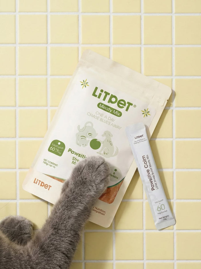 Why Your Cat Keeps Going to the Litter Tray - And What a Vet Recommends