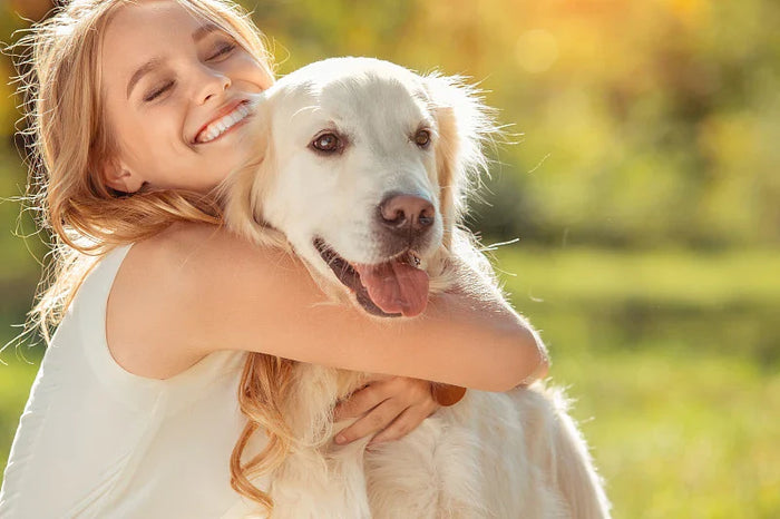 Joint Care for Ageing Dogs: Spotting the Early Signs