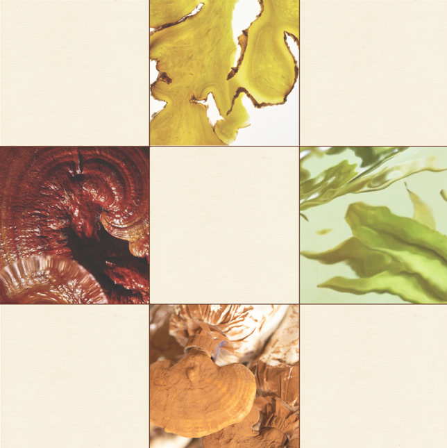 East Meets West: The Science Behind Traditional Botanicals