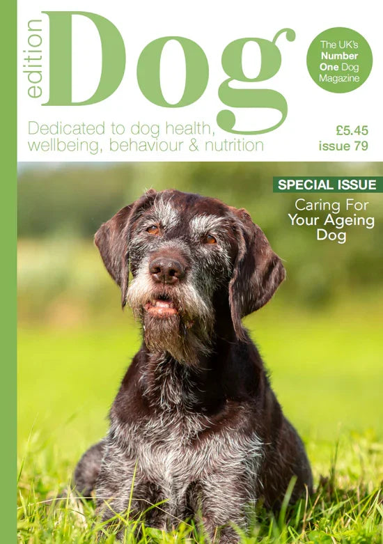 LitPet in Edition Dog Magazine