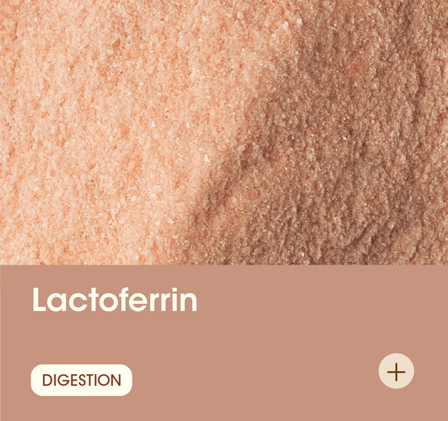 Lactoferrin