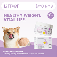 Body Balance - Weight and Wellness Support Powder