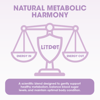 Body Balance - Weight and Wellness Support Powder