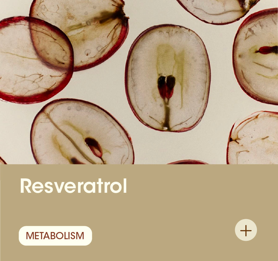Resveratrol