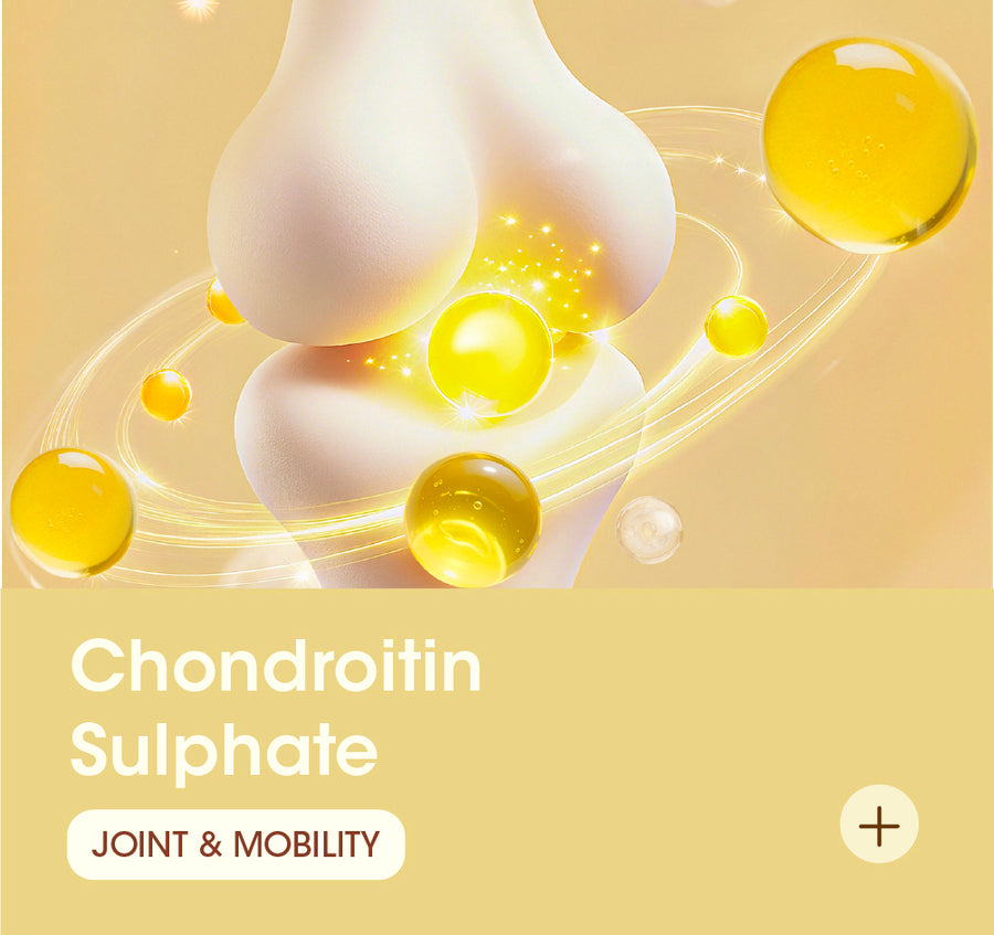 Chondroitin Sulphate