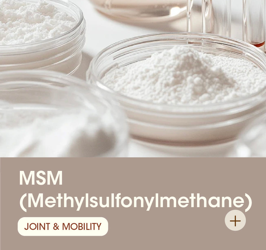 MSM (Methylsulfonylmethane)