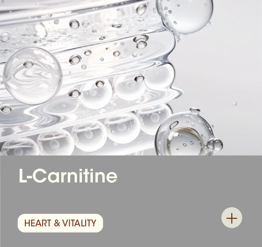 L-Carnitine