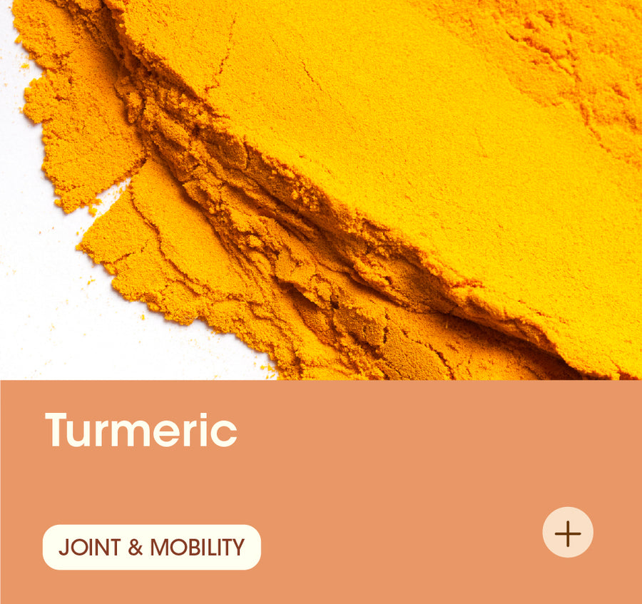 Turmeric