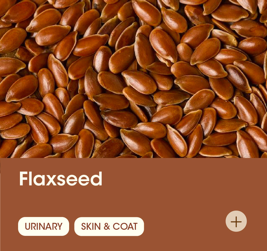 Flaxseed
