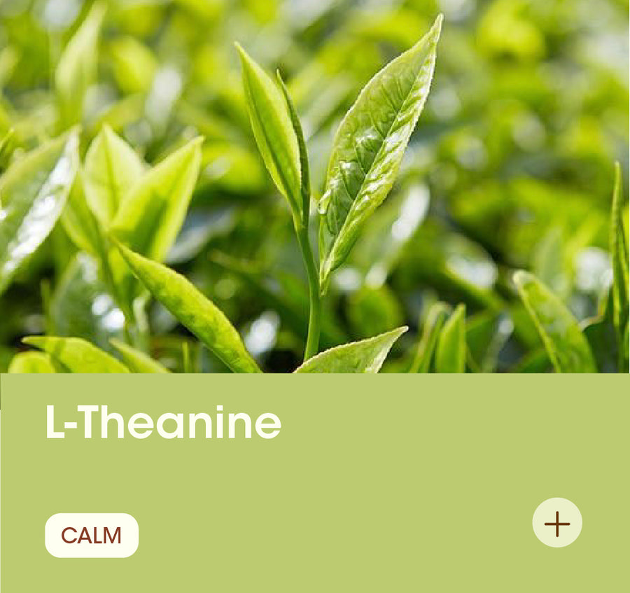 L-Theanine