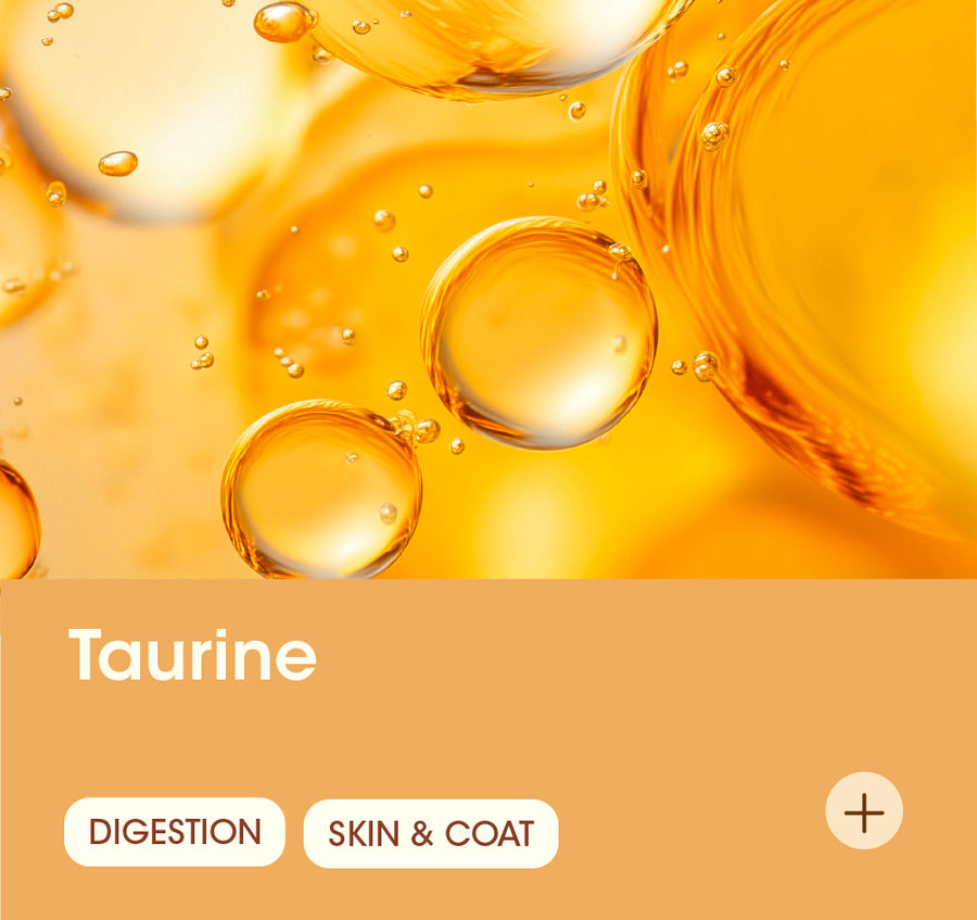 Taurine