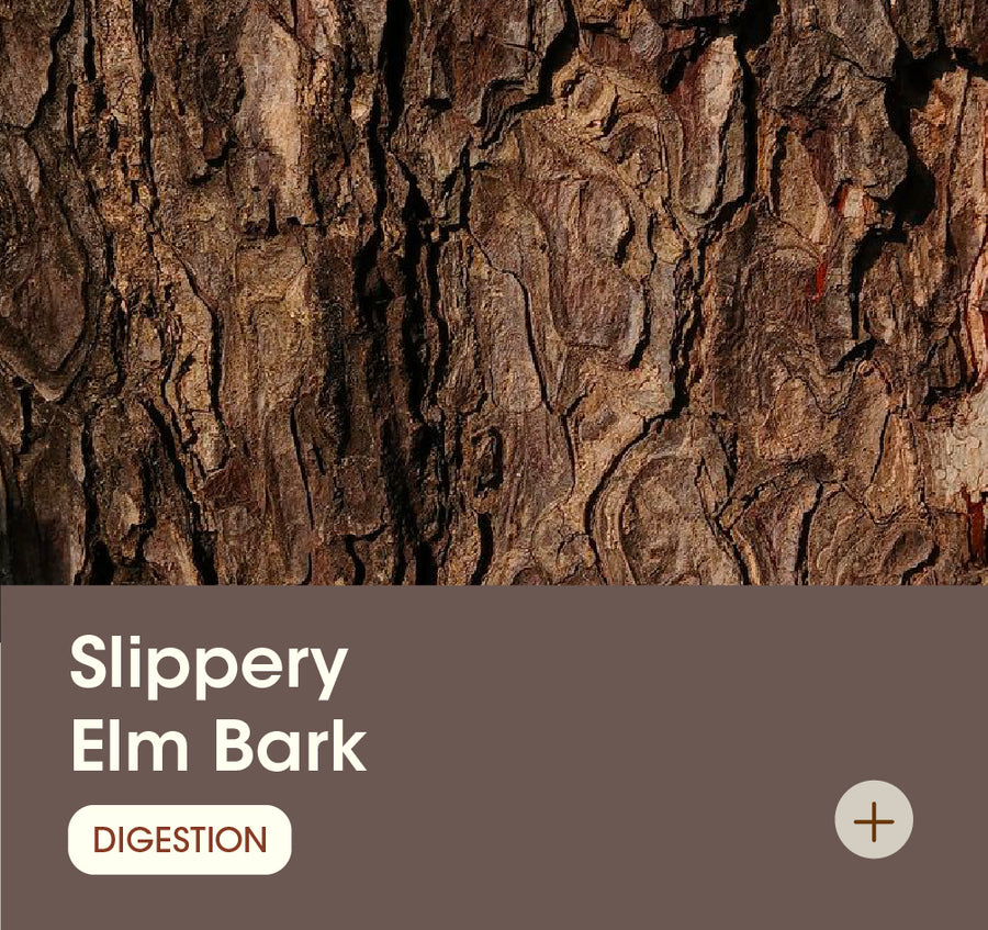 Slippery Elm Bark