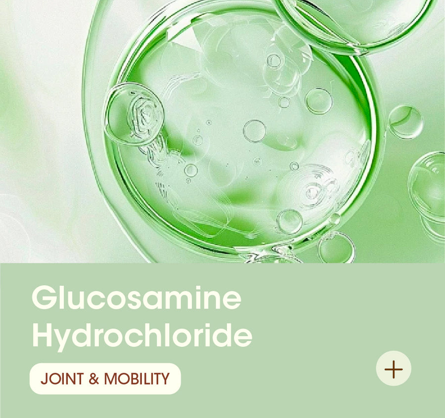 Glucosamine Hydrochloride
