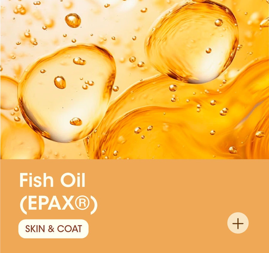 Fish Oil (EPAX®)