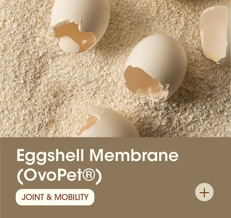 Eggshell Membrane (OvoPet®)