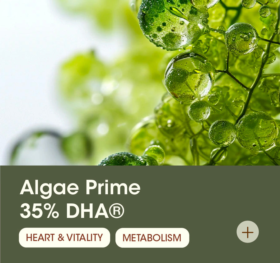 Algae Prime 35% DHA®
