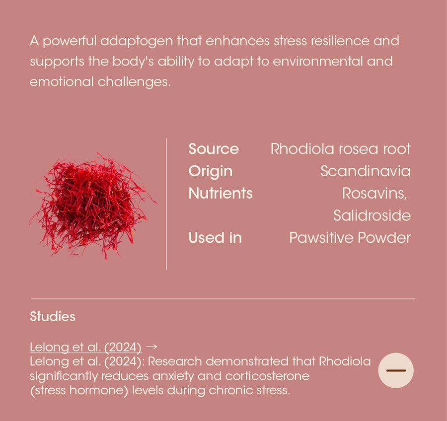 Rhodiola Rosea details