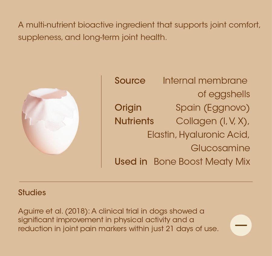 Eggshell Membrane (OvoPet®) details