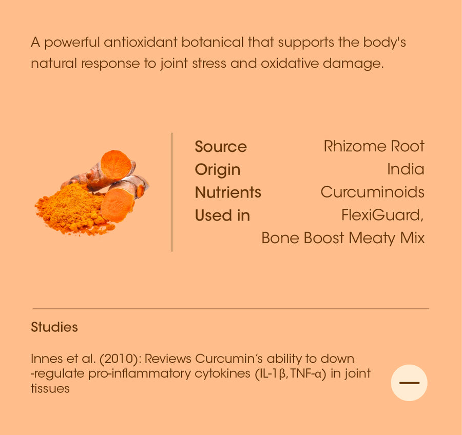 Turmeric details