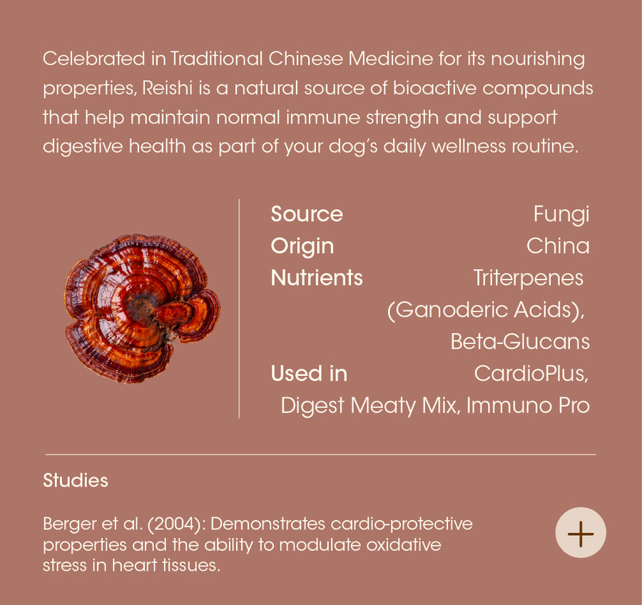 Reishi Mushrooms details