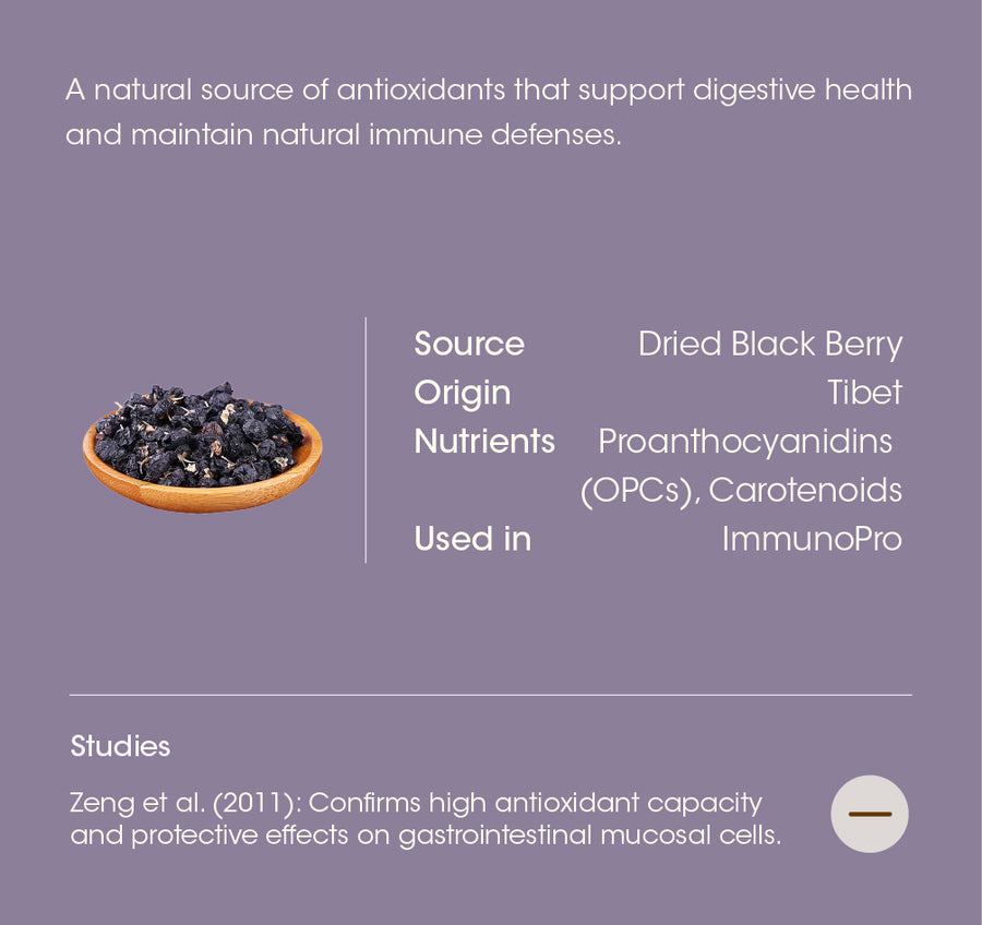 Black Goji Berry (Lycium Ruthenicum) details