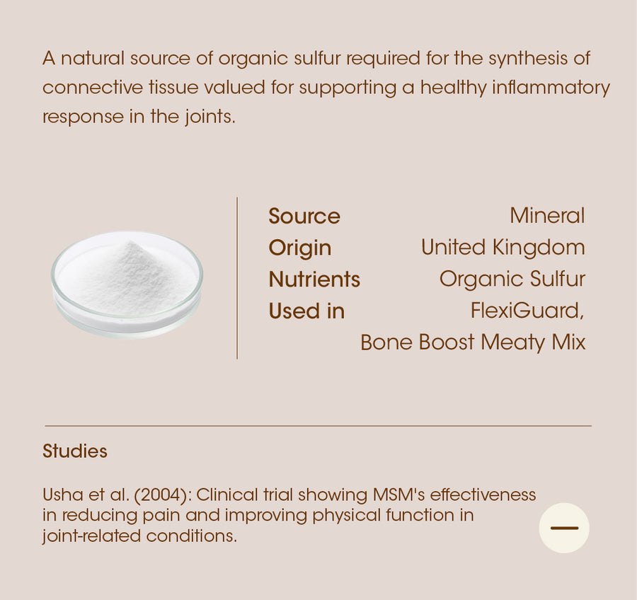 MSM (Methylsulfonylmethane) details