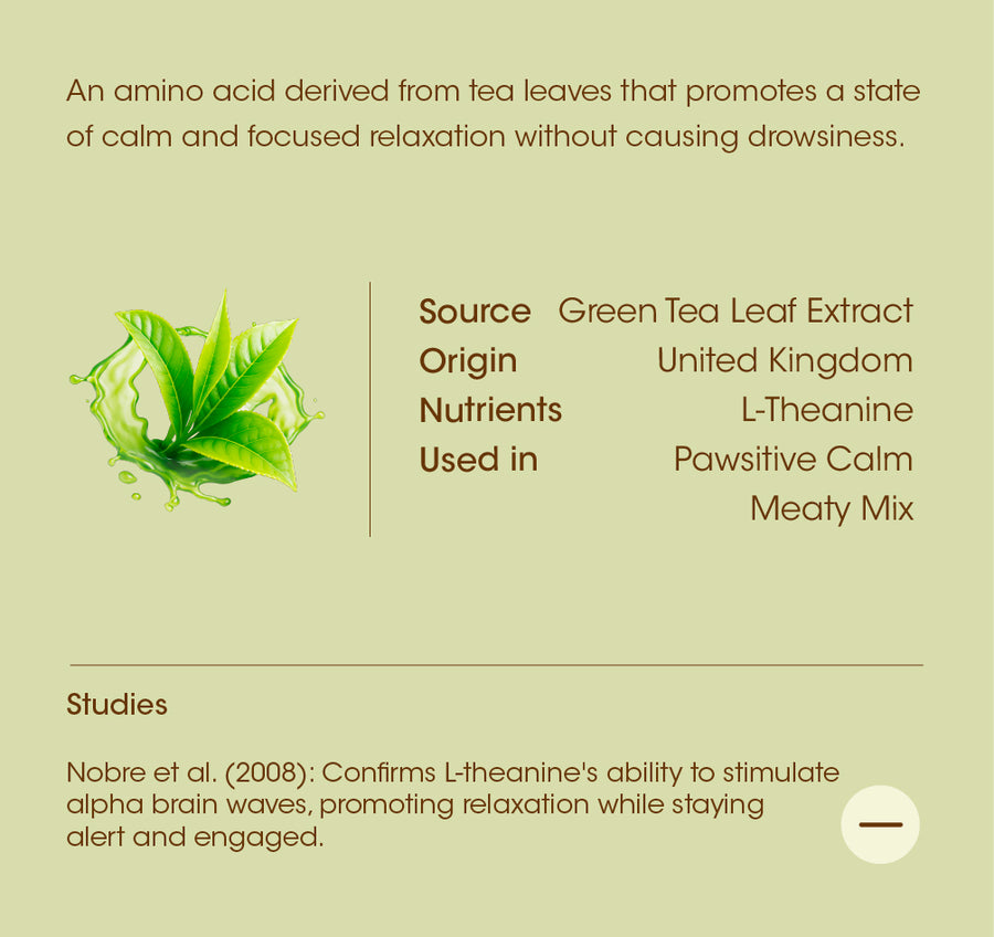 L-Theanine details
