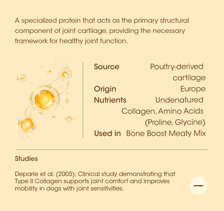 Type II Collagen details