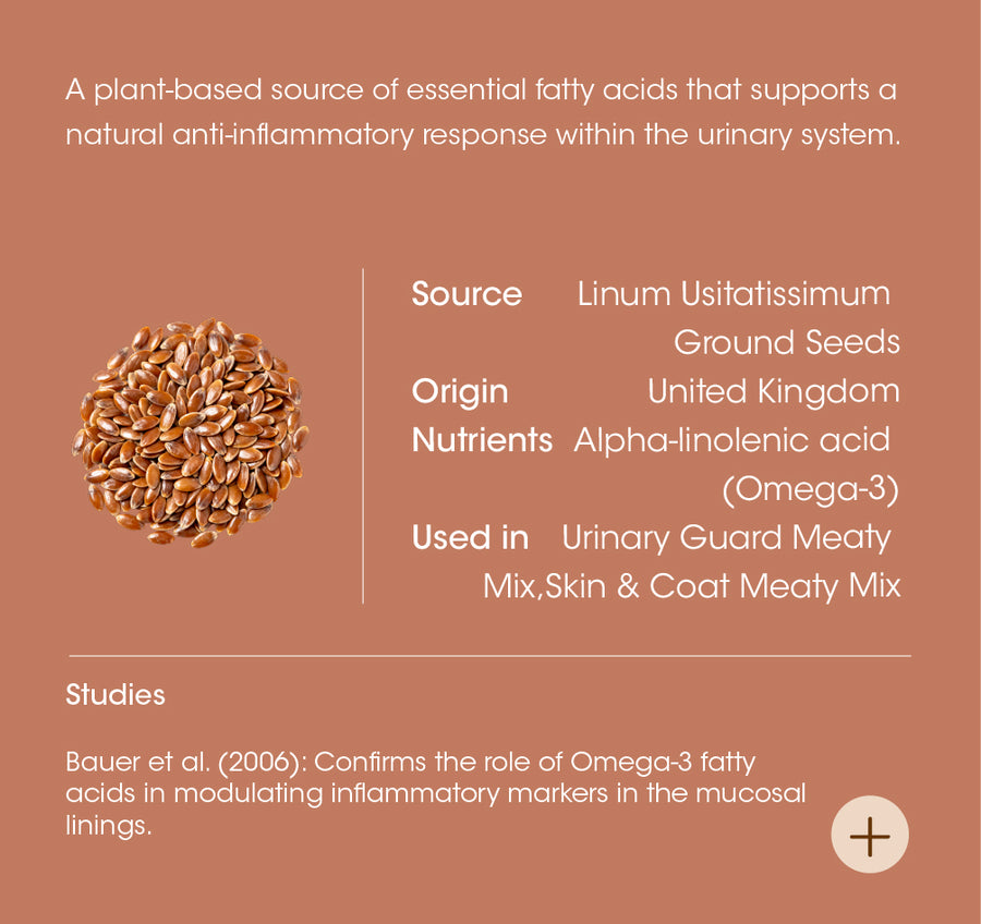 Flaxseed details