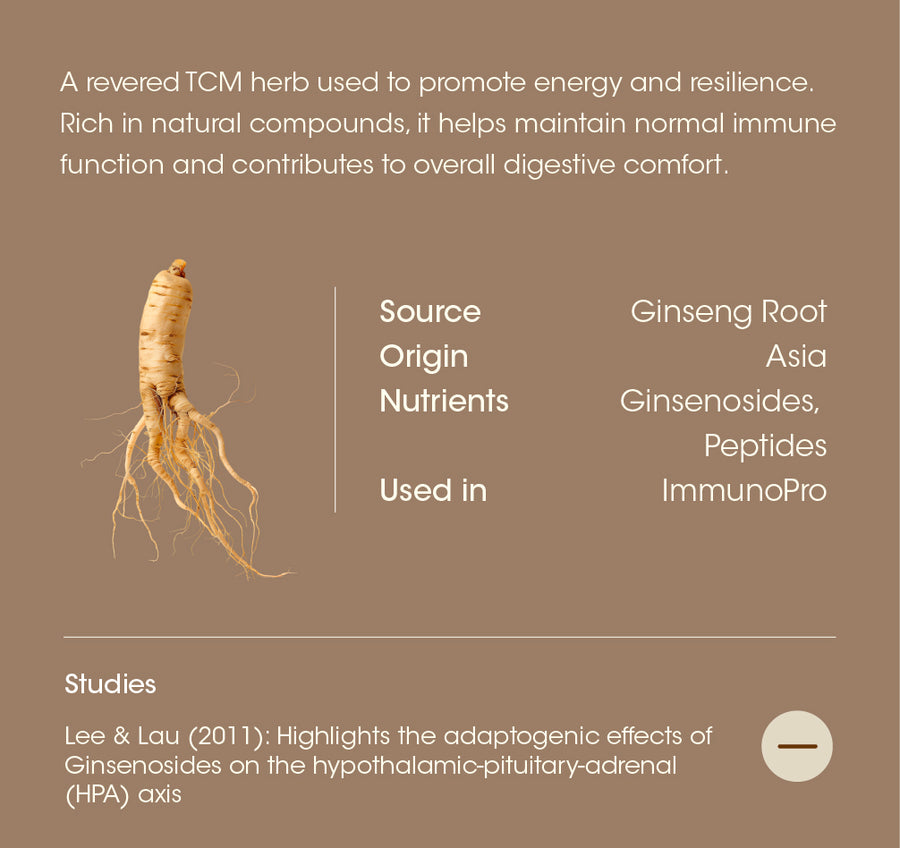 Panax Ginseng details
