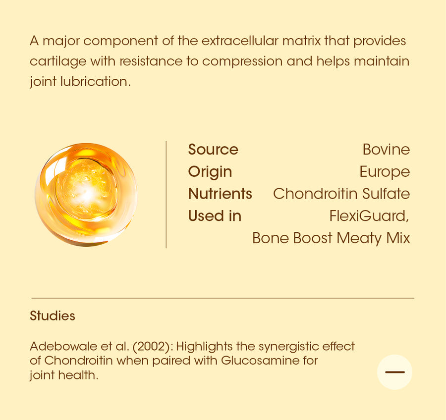 Chondroitin Sulphate details