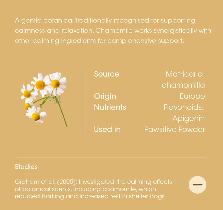 Chamomile details