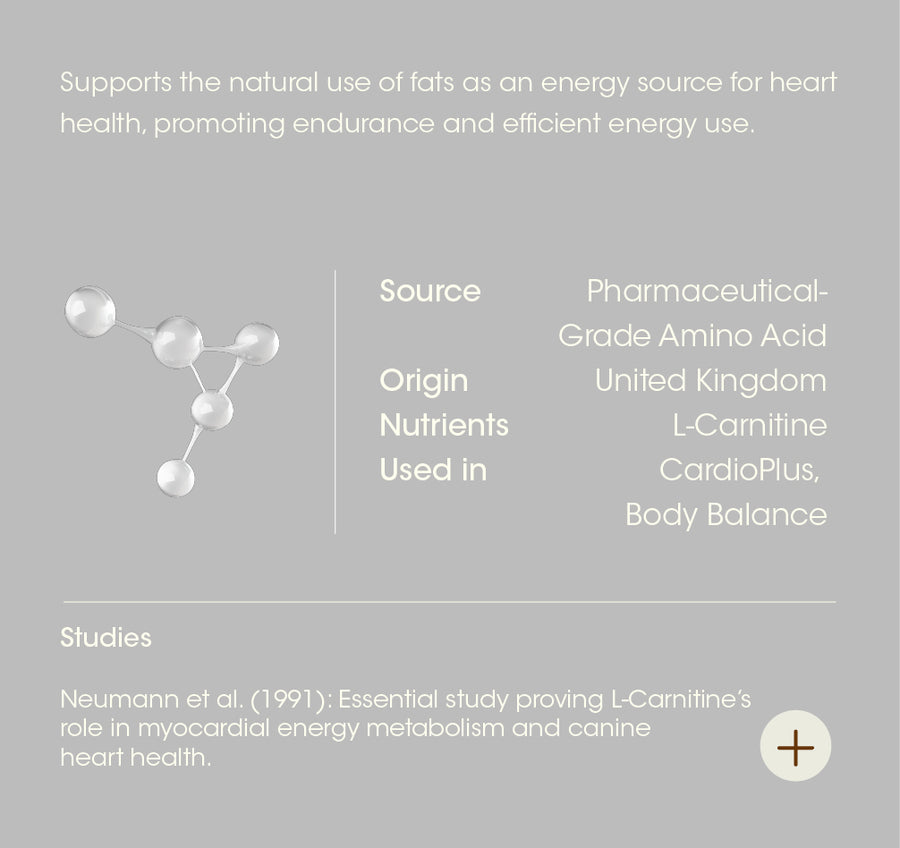 L-Carnitine details