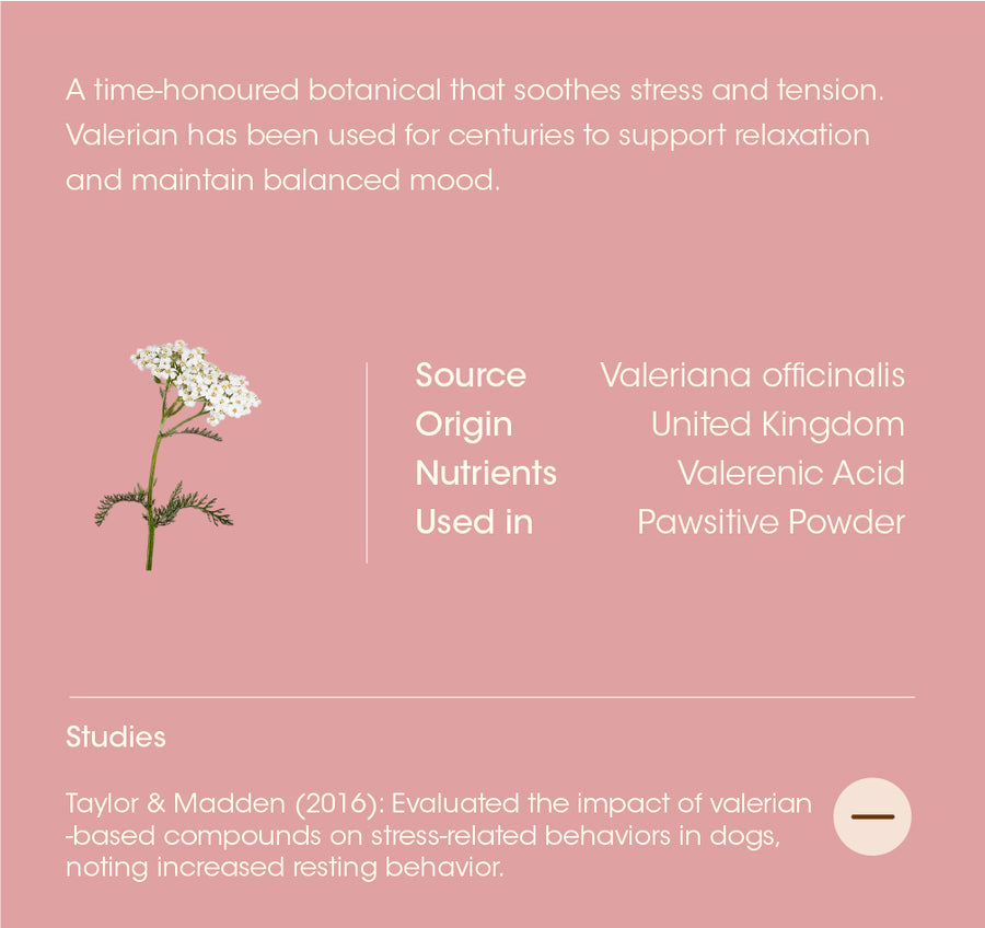 Valerian Root details