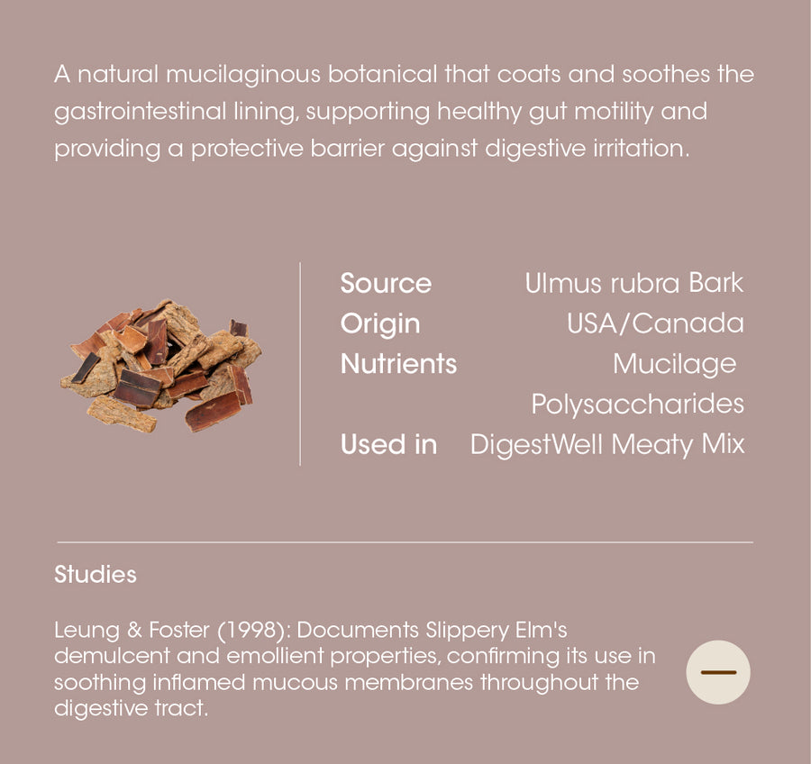 Slippery Elm Bark details