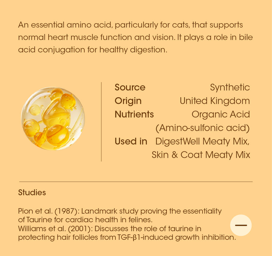 Taurine details