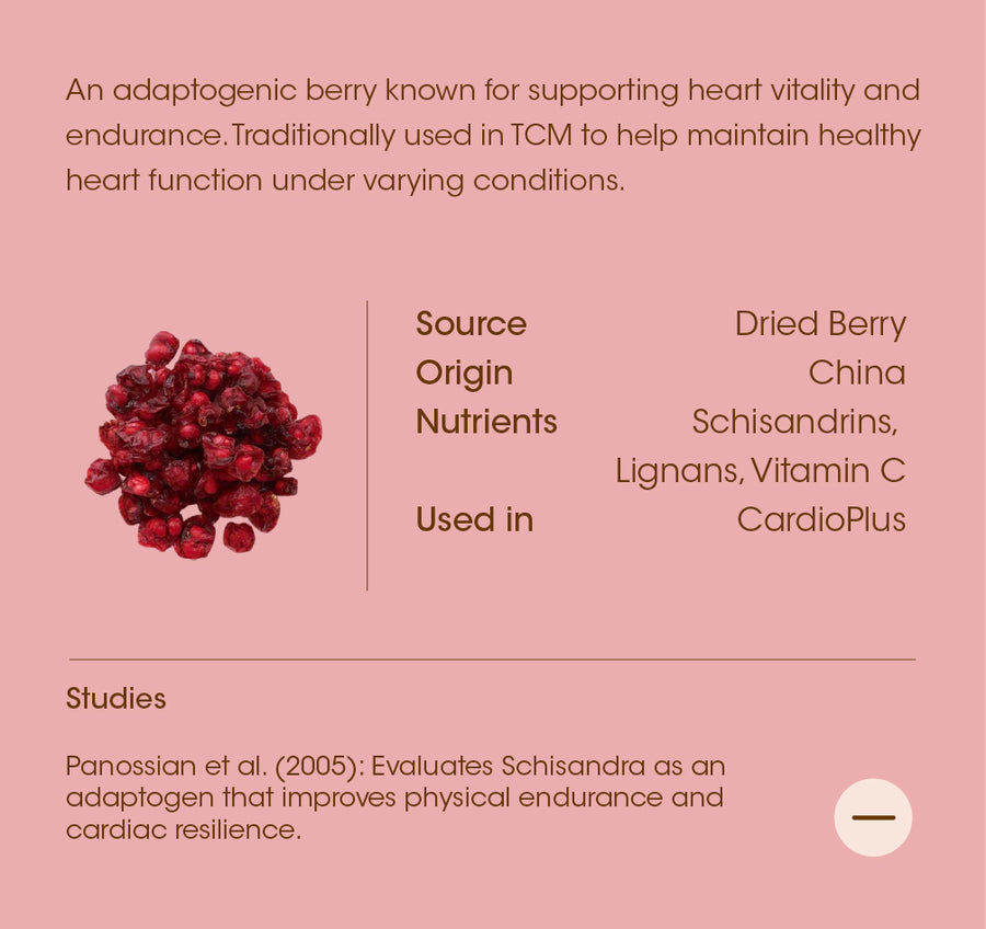 Schisandra Chinensis details
