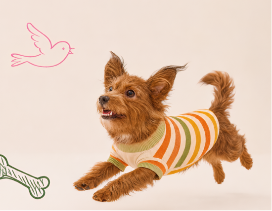 Joint & Mobility for dogs