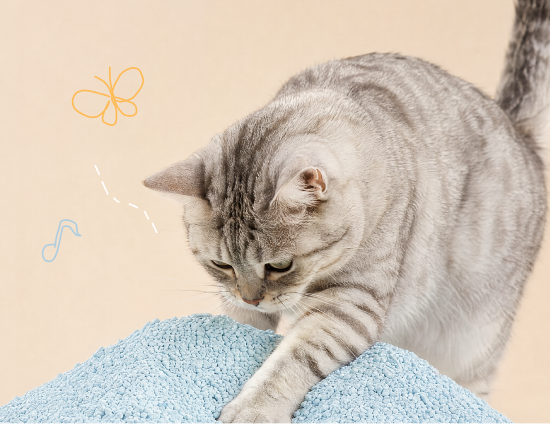 Urinary & Wellness for cats