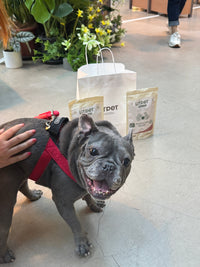 Pawsitive Calm Meaty Mix Paste for Cats & Dogs