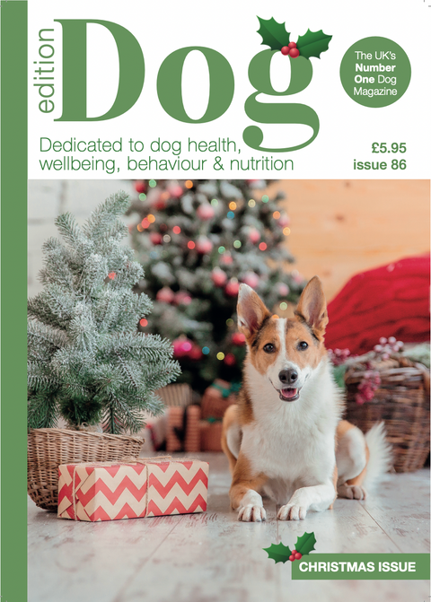 Edition Dog — December 2025