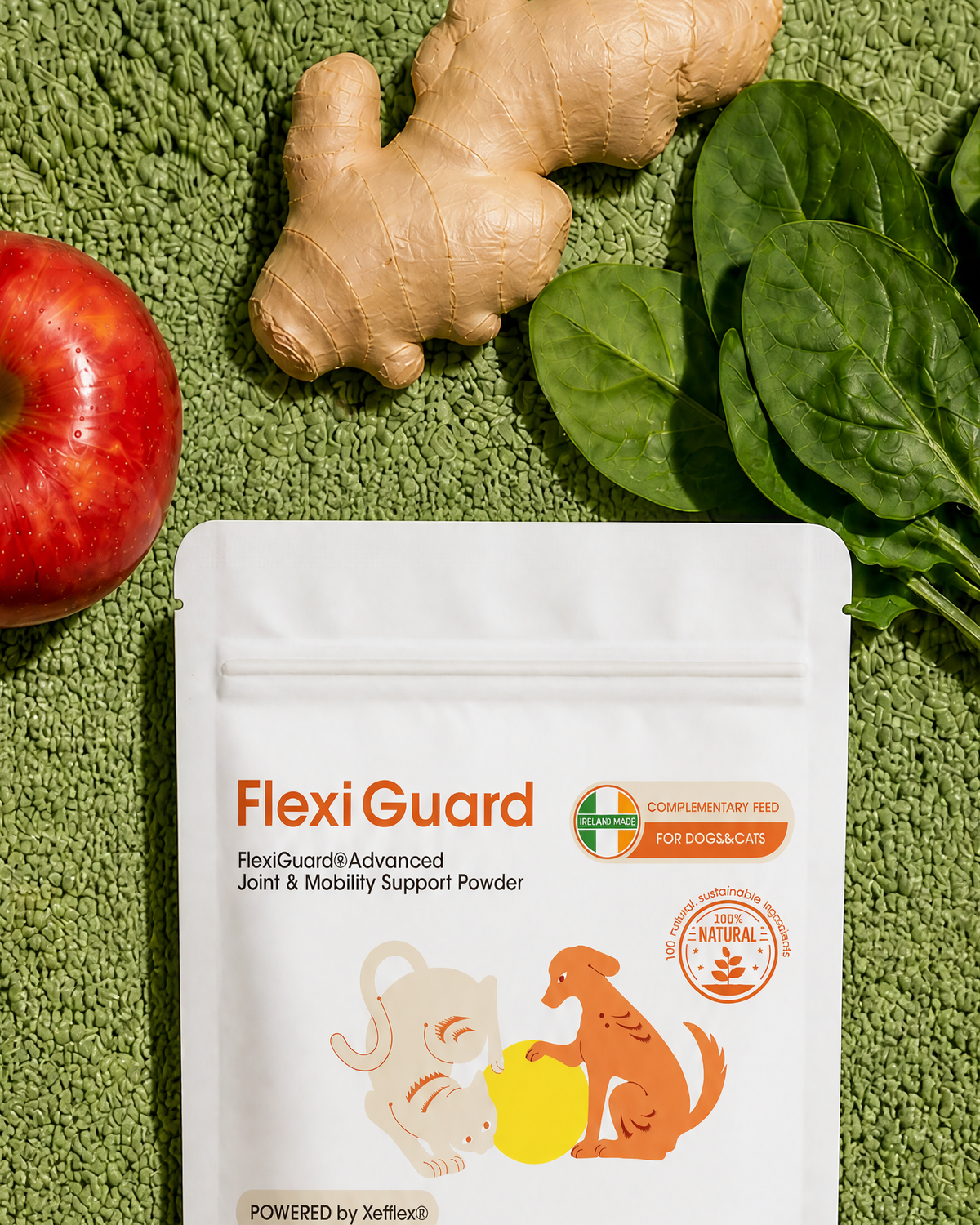 What Is Traditional Chinese Medicine for Pets -