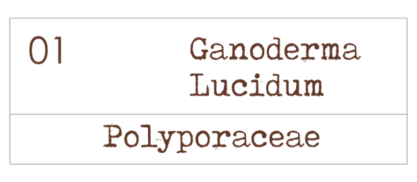 Ganoderma lucidum