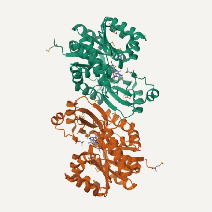 3. LZ-8 Protein – C417H671N125O128S2